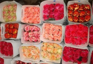 Цветы розы букеты