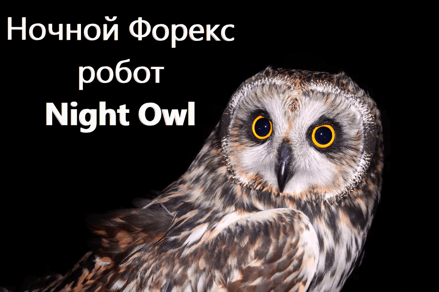 Ночной Форекс робот Night Owl