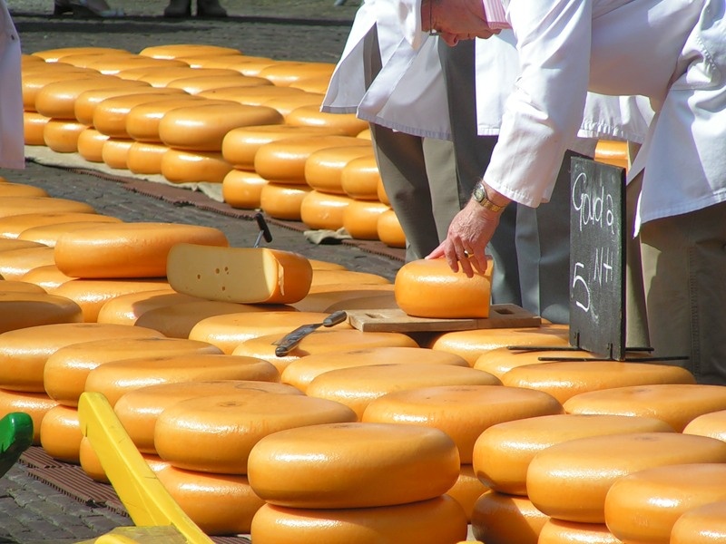 Бизнес-план по производству сыра: с чего начать